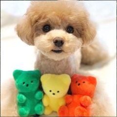 ins Korean gummy bear pet dog sounding toy small dog cute barking plush toy