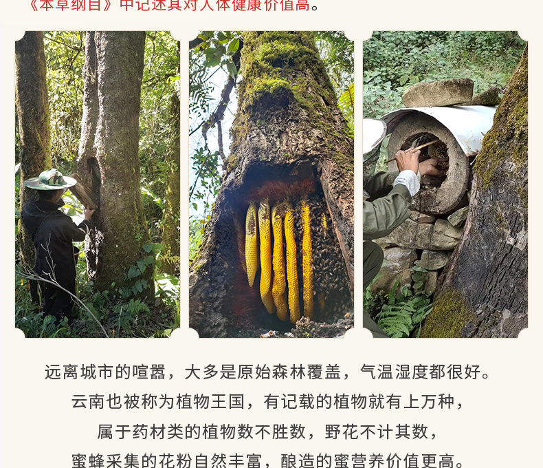 O1CN01oPvwHr1PSJ9PlFvu1_!!2213433371839-0-cib.jpg?__r__=1665814160180