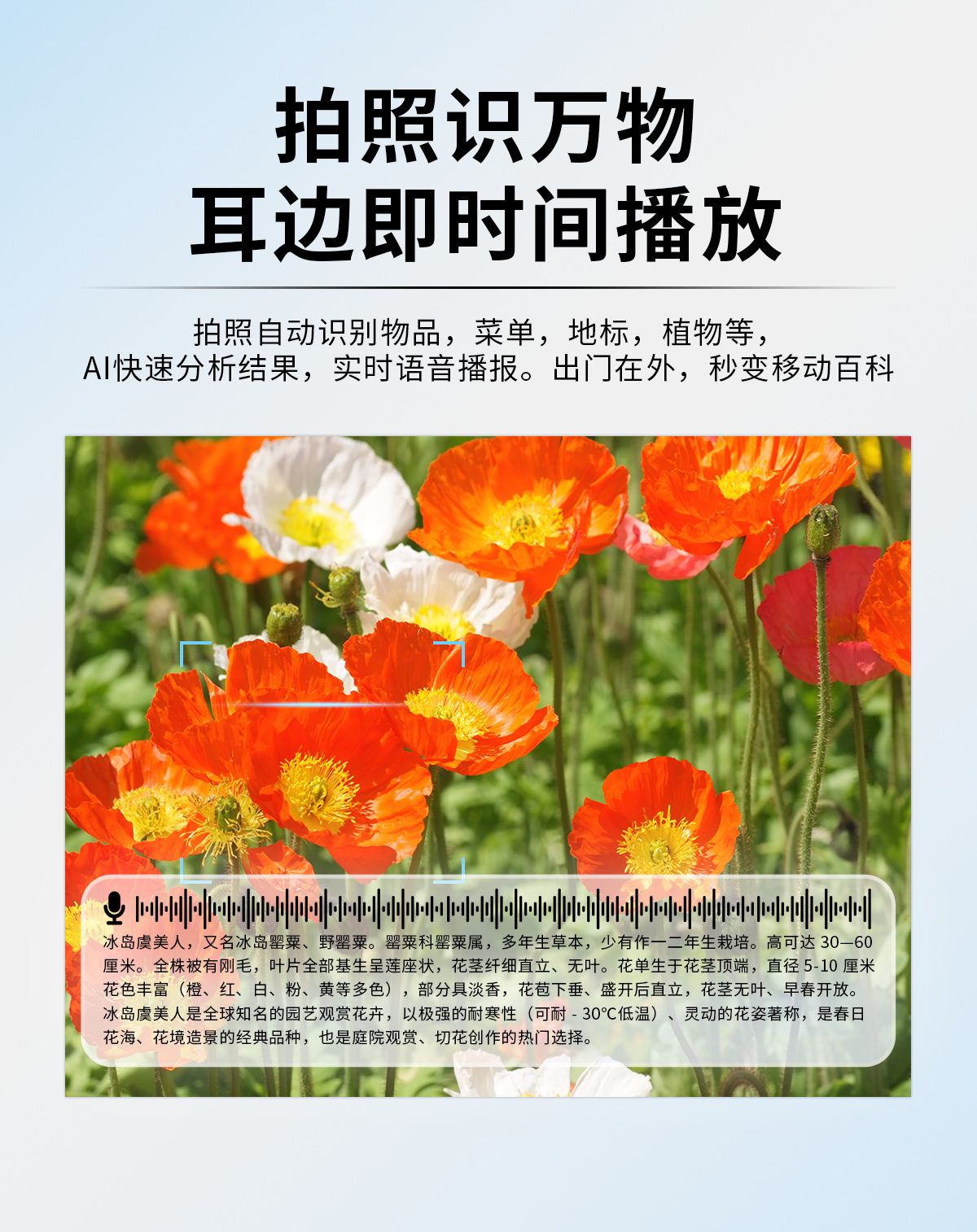 跨境AI智能眼镜抖音TK直播摄像头翻译识别智能眼镜Smart glasses