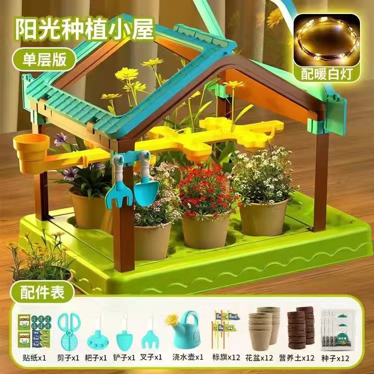 [절묘한 선물 상자] 단층 햇빛 방 12 씨앗 DIY 라이트 벨트