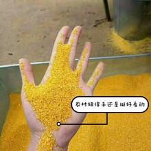 【FD019】五斤装山西沁县小米不施化肥不打蜡不加色