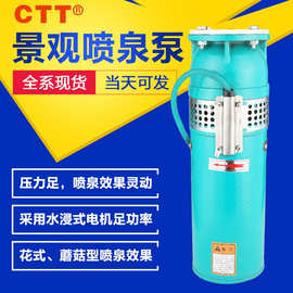 喷泉景观泵qsp潜水泵380v铸铁喷泉水泵潜水景观泵 QSP水景喷泉泵
