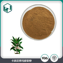 卡琪花蒂玛提取物99% 马来西亚卡琪花蒂玛提取原料 现货包邮直发