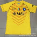 2324 naples yellow