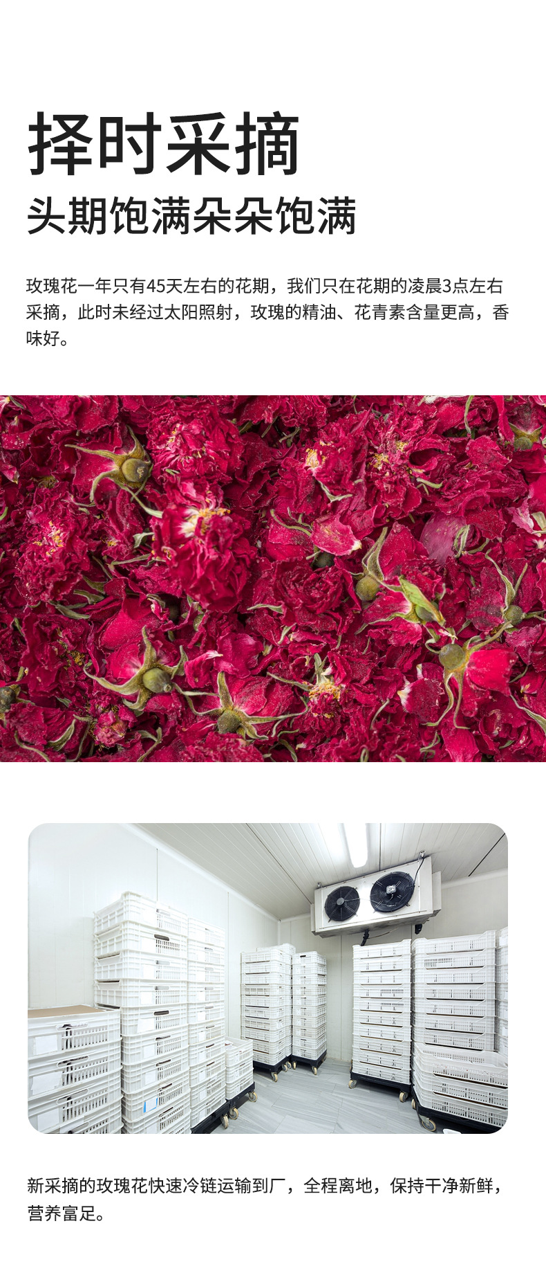 Rose Bud Tea Mei Gui Hua 玫瑰花冠 Dried Rose Flower Buds 60g Canister Herbal Infusion specifications