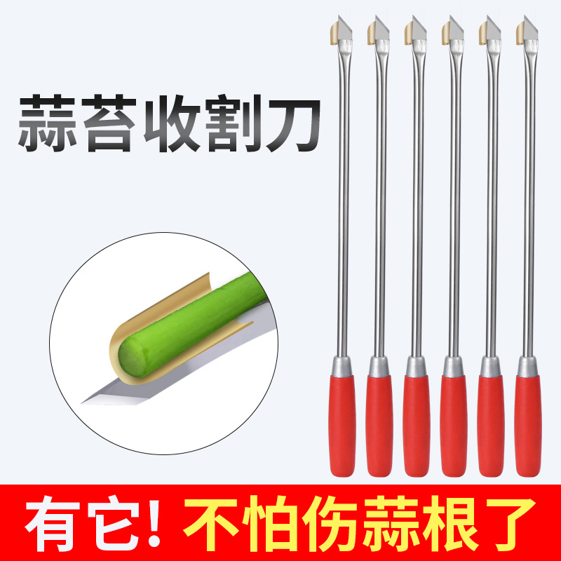 Garlic Sprout Harvesting Knife, Tool for Harvesting Garlic Sprouts, Garlic Sprout Scraper, Peeler, and Extractor, Garlic Sprout Harvesting Tool