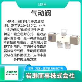 MRM/氟树脂针阀/隔膜阀/MPAV2-25F-SB-0-1-5K/PFA气控阀/管接头