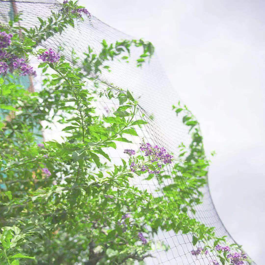 微信图片_20241113151333