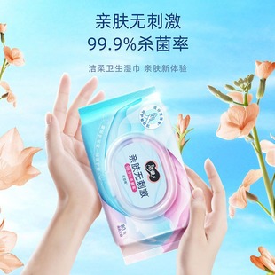 Jierou Brand Hygienic Wipes 80 Pieces Large Package Household affordable Withdrawable Wet Wipes for Skin Care Household