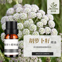 Ჴ}ѾCarrot Seed OilsȡĦow޹ԭ