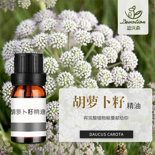 ���}���Ѿ���Carrot Seed Oil���R��ֲ���������ͷ����o�w���A��