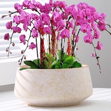 �����m���û���ߙn�մ��辰�����ڏ���t���s�p���m�������؃r