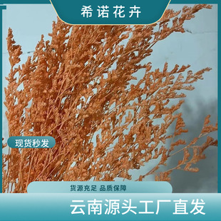 Yunnan Eternal Love Grass with Dried Flowers for Home Decoration, Wholesale from Manufacturers, Bleached Flower Materials, Air-Dried Eternal Flowers