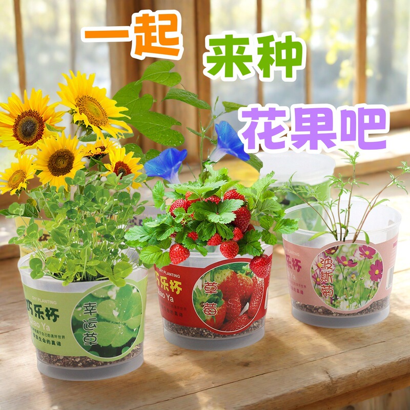 Qiaoya Gardening Student Gift Potted Plant (my Little Farm) Kindergarten Gift Indoor Green Plant Grass Doll