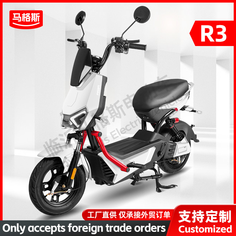 Fábrica de origen de bicicleta eléctrica de dos ruedas para adultos R3, batería de ultra alta duración diaria, coche de batería de cercanías ligero E-Bike
