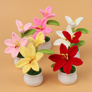 Finished Cross-Border Handmade Wool Crocheted Lily Flower Small Potted Plant Artificial Mini Home Desk Car Ornaments Gift