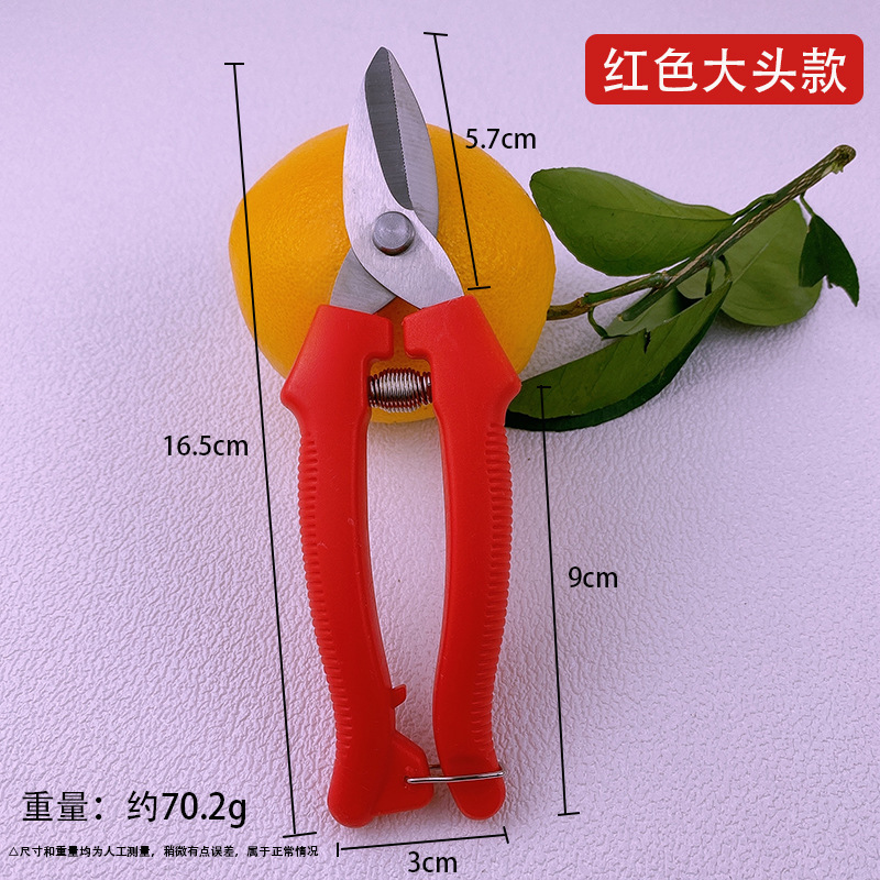 Yangjiang árboles frutales tijeras de corte de ramas de acero inoxidable tijeras de jardinería casera cortar ramas de árboles cortar naranja extraña naranja especial