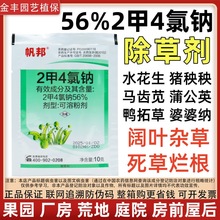 帆邦56%2甲4氯钠除草剂水稻小麦田阔叶杂草水花生马齿苋死草烂根