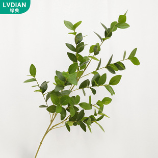 ��֧�����~����Gֲ�쾰�[���҃��bG�~��ˇ�廨�����~�����~��