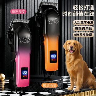 �������ӌ��I��ë��������Ƽ���ë��ë����������Ȯ����ꌣ��