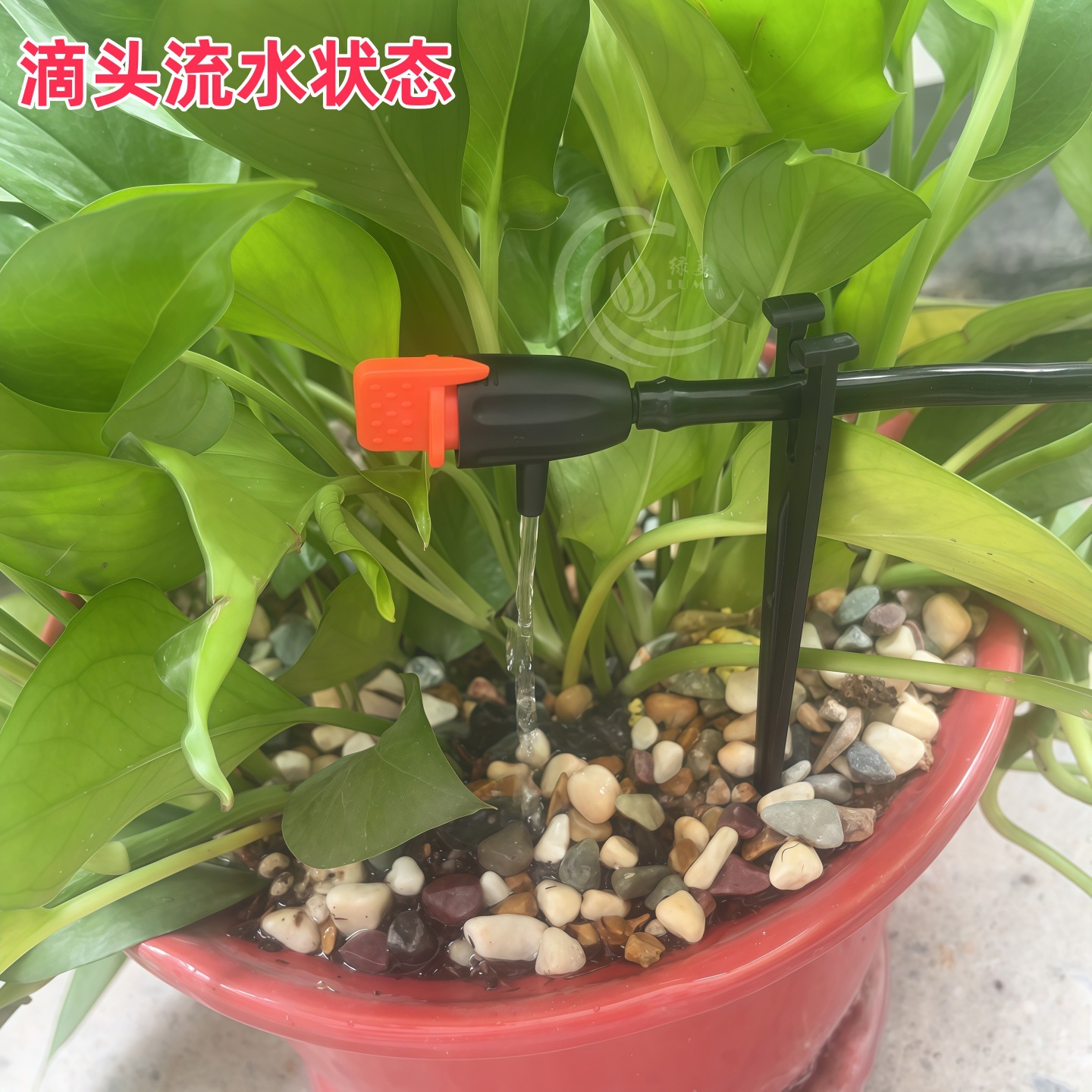 滴头喷洒图2_副本