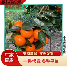 һ�����lɳ�ǽۘ��玧�����Ե����ϱ����NֲͥԺ�ļ��ش��������