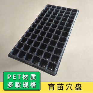 ��ɫ72������P ͸�Ᵽ��PET���ϷN��۱P �C�����P�����ײ�Ѩ�P