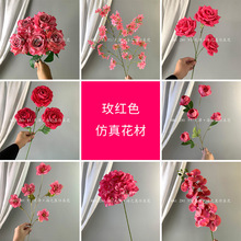 õ�tɫϵ���滨 ���Ż���c�b[�������廨�Ƶ�鷿���üٻ�