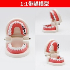 練習用偽歯幼稚園金型虫歯モデル付き児童歯磨き玩具口腔教育シミュレーション歯科