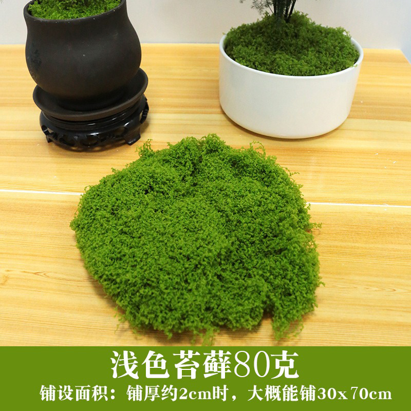 コケ造景偽コケ毛糸草皮緑植微景観植物装飾人造絨毛糸コケ|undefined