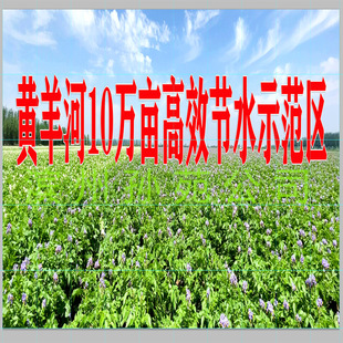 ���� ��Ч��ˮʾ���ɴu�� �����|���z�y �r�C�_�l�Nֲ�a�N�մ���