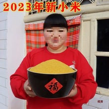 （霞姐情）陕北高山石碾农家黄小米，月子米5斤装（包邮）