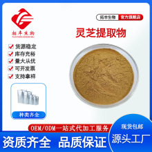 拓丰供应 灵芝提取物 水溶性另有灵芝粉 灵芝多糖 灵芝三萜 现货