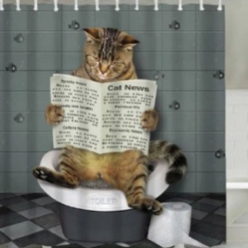 Divertida cortina de baño valiente gato sostiene tridente flecha montar tiburones en las olas ballenas gatos cortina de baño conjunto baño