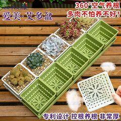 爱美多肉专用花盆创意小白方组合树脂加厚控根透气塑料植物种植盆