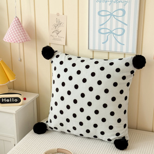 2026�¿�ţ�̽q�ɐ۲�������ë����ϵ��