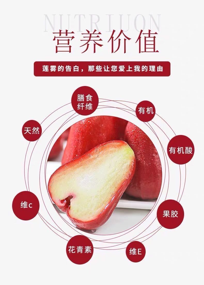 404f946a-1b3d-470c-a64c-3d8b757d205a.jpe