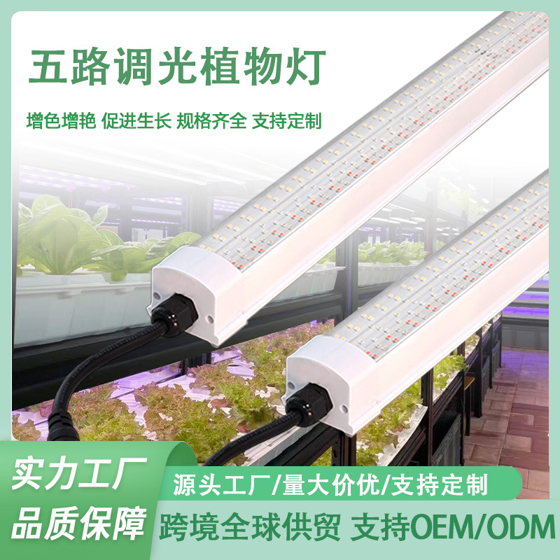 LED plant growth light 5-way dimming RED