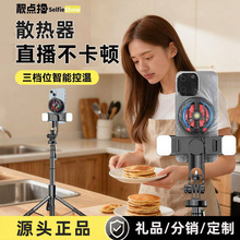 跨境手机散热器半导体制冷磁吸手机支架游戏降温自拍杆直播神器
