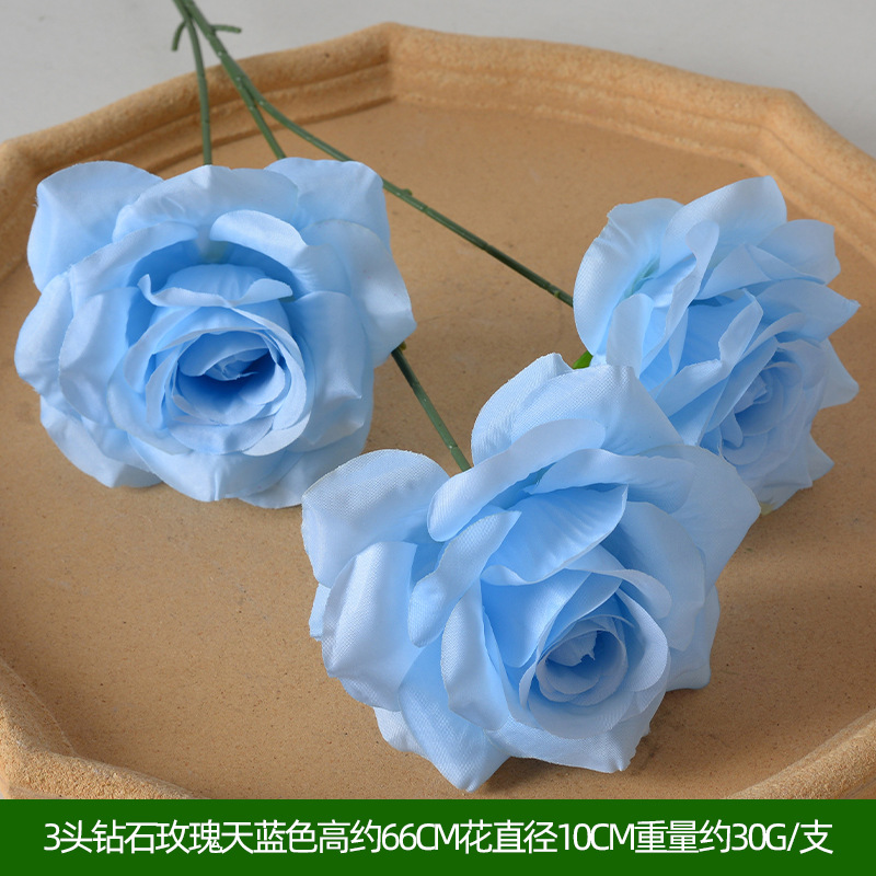 3头钻石玫瑰天蓝