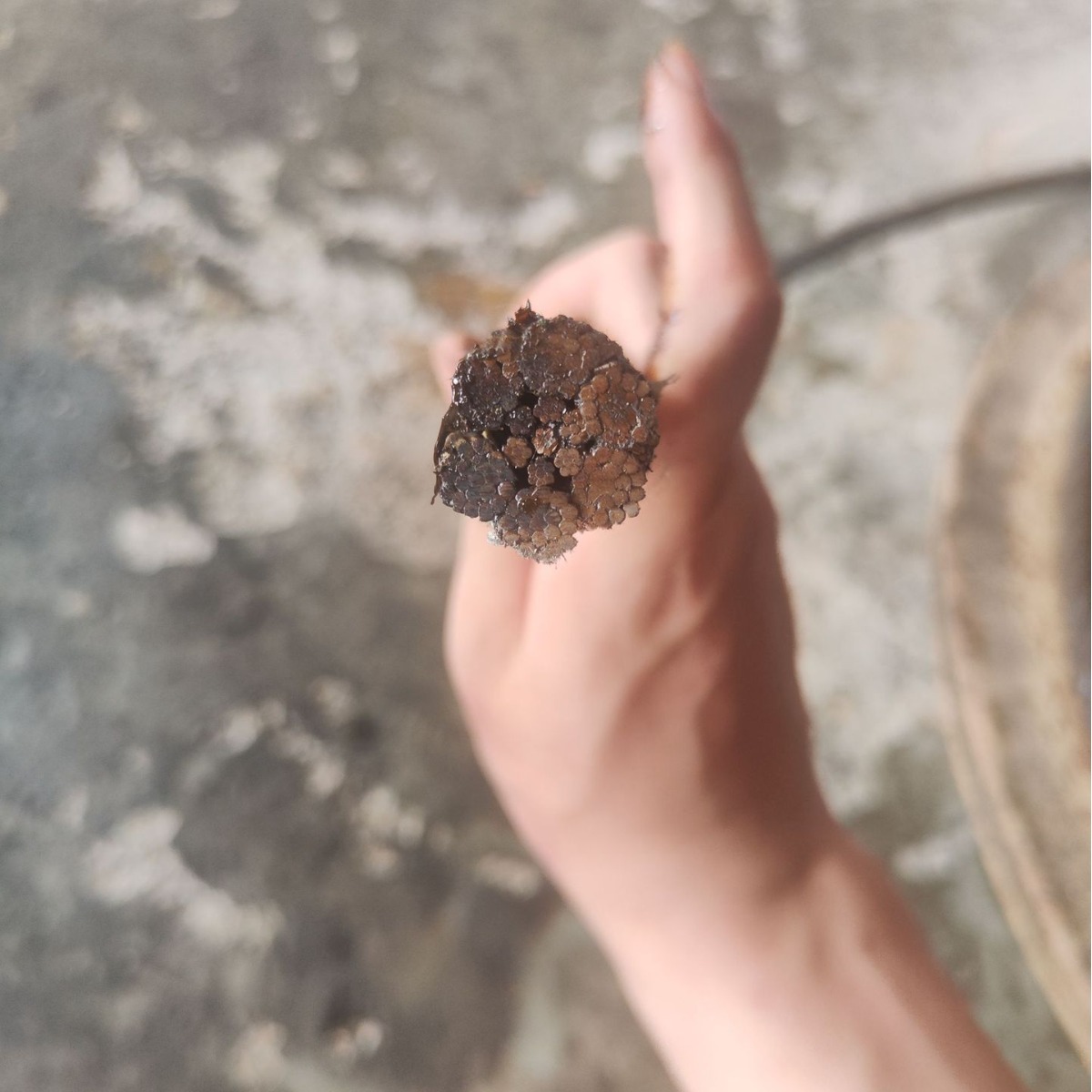 拖轮钢丝绳6*19+IWR直径20mm钢丝绳船舶钢丝绳景观桥吊绳