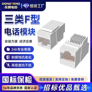Dongteng Class 3 F-Type Telephone Module Cat3 Telephone Language Module Rj11 Interface Information Module