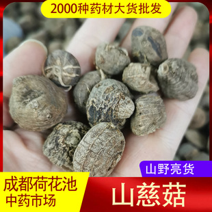 ɽ�ȹ����ɽ�ȹ� éë�ȹ� ɽ�Ĺ� ������ �����r�aƷ