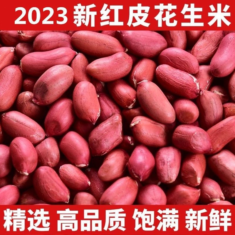 ピーナッツ 新入荷 赤皮ピーナッツ 2.5kg シェルなし 生四粒 赤皮ピーナッツ 農場特産品 100g|undefined