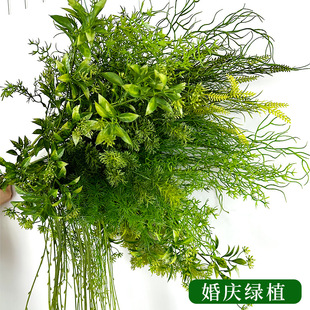 �����c�Gֲ�Gɫϵ�Ƶ��c�b���Ȼϵ�ٻ��쾰�b�ֲ��ɭϵ����