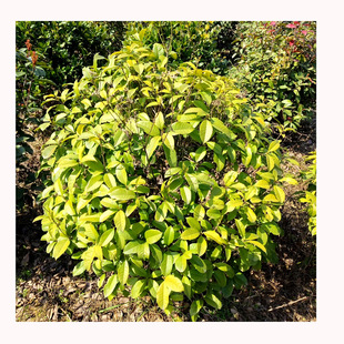 ����ֱ�� �ļ����� ���¹��� �������� �ļ��� ���¹�