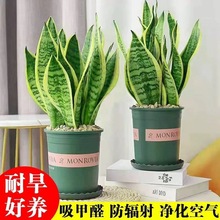 ��߅��Ƥ�m�����҃������·��������ͺ��߰���β�m�羳�S��