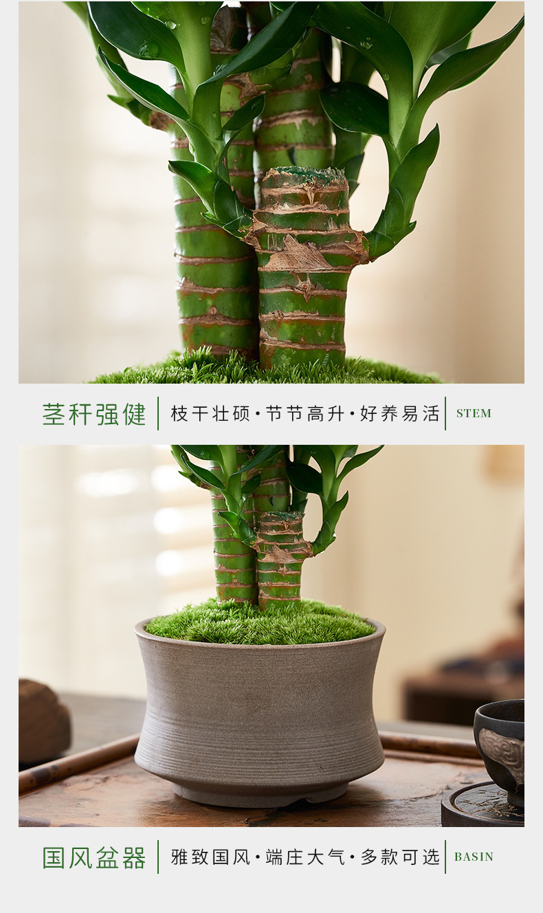 5092dd1098cb8989ef703833aecce9b1.jpg