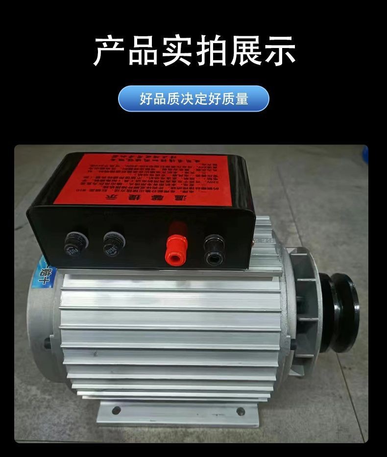 Factory In-Stock Generator 220V Dc Brushless Small Permanent Magnet Dual-Purpose Generator Outdoor Portable Generator
