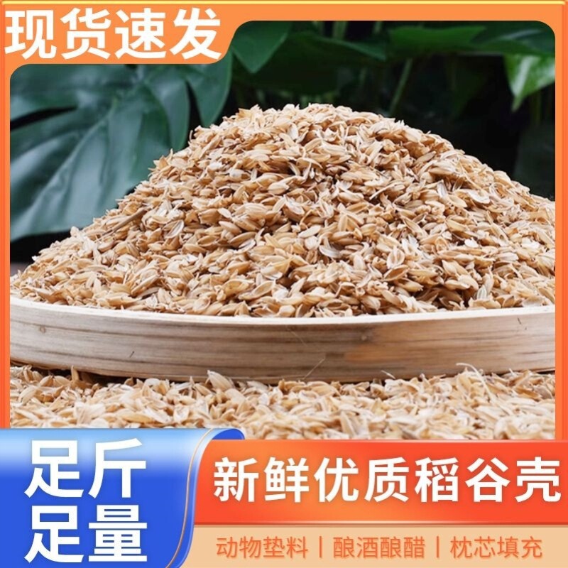 新鲜稻谷壳粗糠壳谷子壳稻糠壳动物宠物垫料保健枕头防震填充酿酒|undefined
